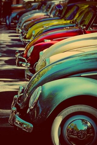 Old Beetles