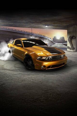 Mustang