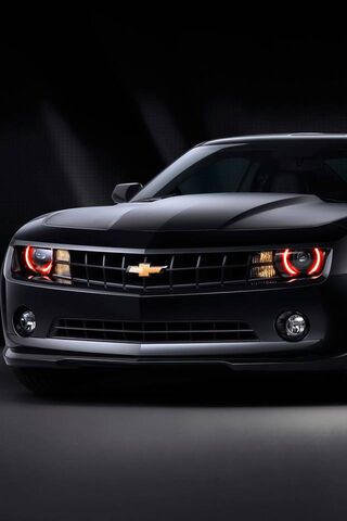 Midnight Muscle: The Bl..