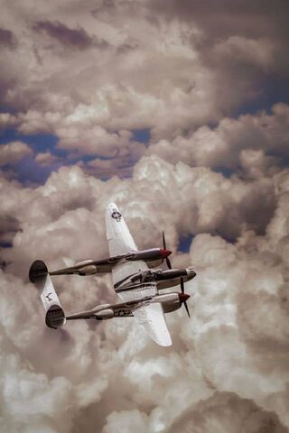 Skyward Journey: A Vint..