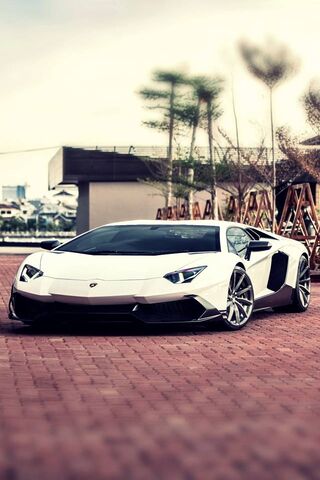 Aventador: The Pinnacle..