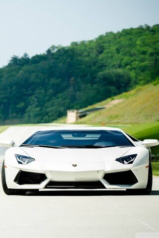 White Lambo