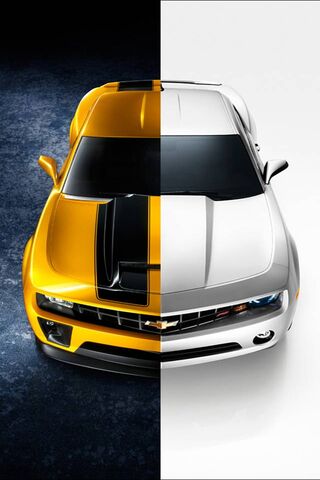 The Ultimate Showdown: ..