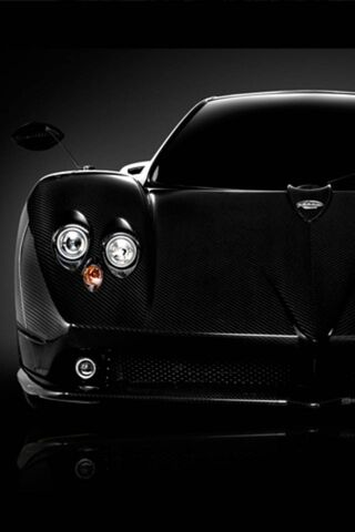 The Dark Beauty: Pagani Zonda Unleashed 🏎️✨