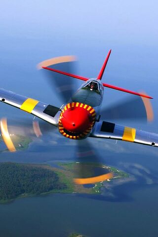 Sky Warrior: The Iconic..