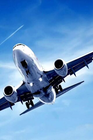 Soaring High: The Majesty of Flight ✈️☁️