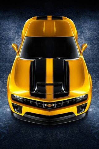 Bumblebee: The Iconic A..