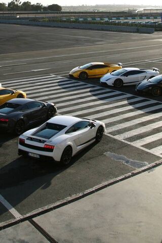 Lambo Legends: A Supercar Showdown 🚗💨