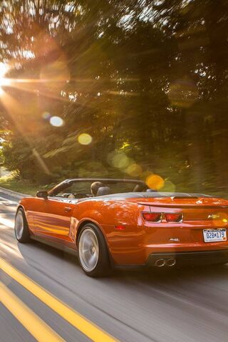 Cruising in Style: The ..