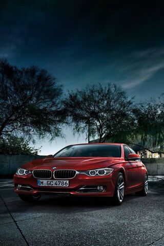 The Bold Elegance of th..