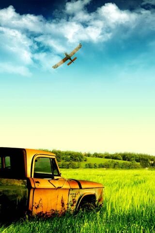 Endless Horizons: A Journey Through Nature 🌾✈️