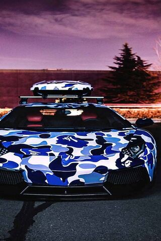 Aventador: The Bold Bea..