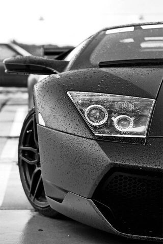 Rainy Day Elegance: The..