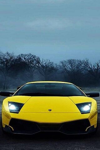 Lamborghini: The Yellow Beast Unleashed! 🏎️💨