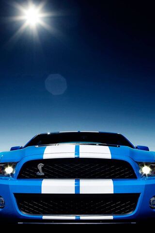 Shelby Gt 500