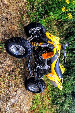 Quad Adventure Awaits! 🏍️🌲