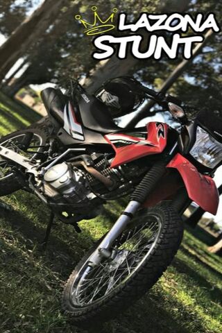 Unleash the Adventure: ..