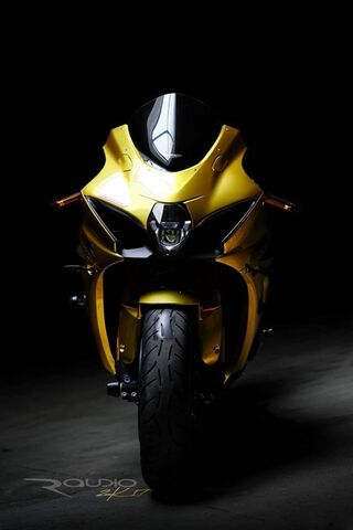 The Beast Unleashed: GSX-R1000 in All Its Glory 🏍️✨
