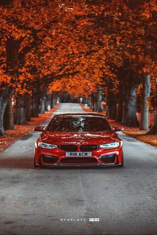 Autumn Elegance: The BM..