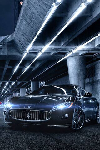 Midnight Majesty: The F..