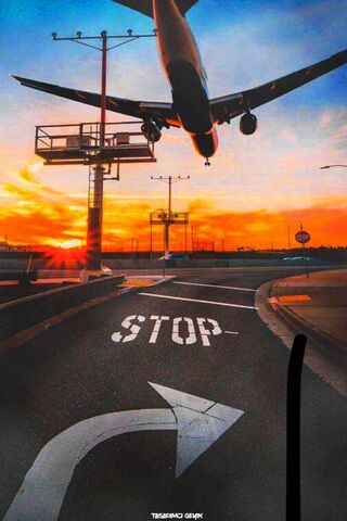 Soaring into the Sunset: A Captivating Airplane Scene ✈️🌅
