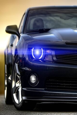 Midnight Racer: The Power of Performance 🚗✨