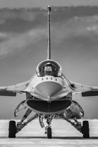 Ozcanates: The Guardian of the Skies ✈️