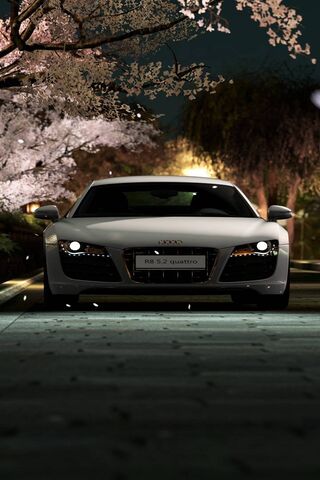 Night Drive: The Audi R8 Experience 🌌🚗