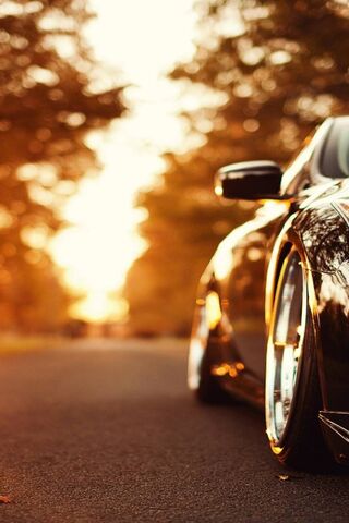 Ozcanates: The Sunset Ride
