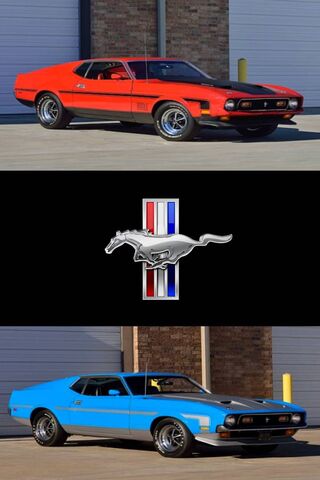 Mach 1 Mustangs