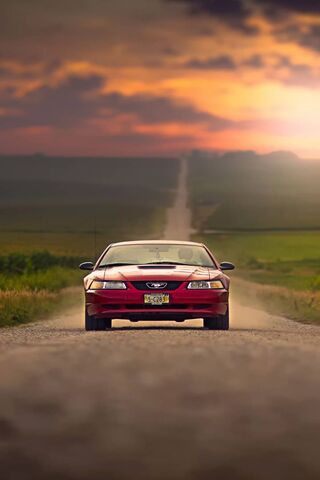 Ozcanates: The Journey Awaits 🚗✨