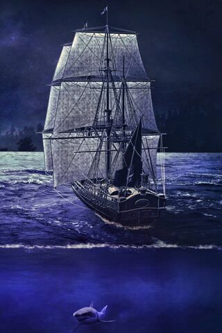 Mystical Voyage: The Enchanted Ship