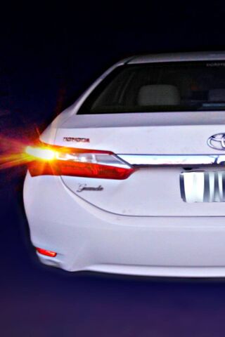 Sleek Elegance on Wheels 🚗✨