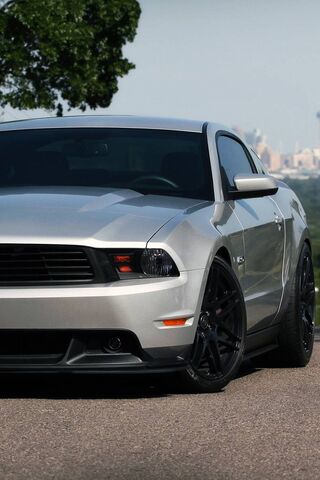 Sleek Silver Stallion: ..
