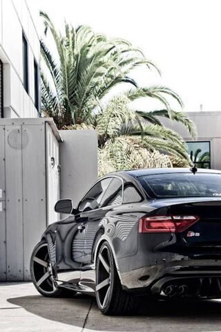 Sleek Power: The Audi S..
