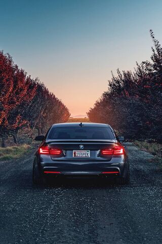 Bmw 335i