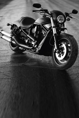 The Spirit of Freedom: Cafe Racer Vibes 🏍️✨
