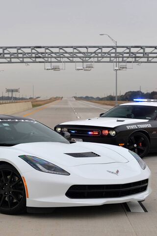 Corvette vs. The Law: A..