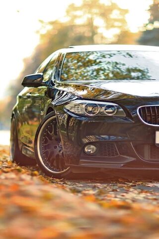 Elegance on Wheels: The..