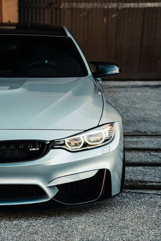 The Sleek Power of the ..