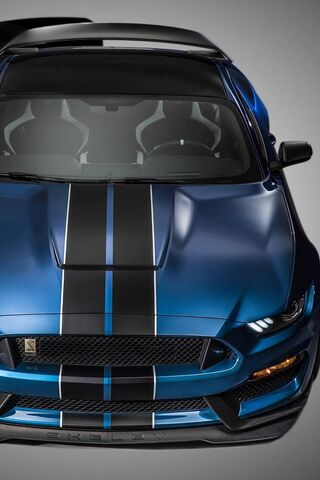 Unleashing the Beast: The GT350R