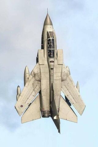 Soaring High: The Power of Flight ✈️