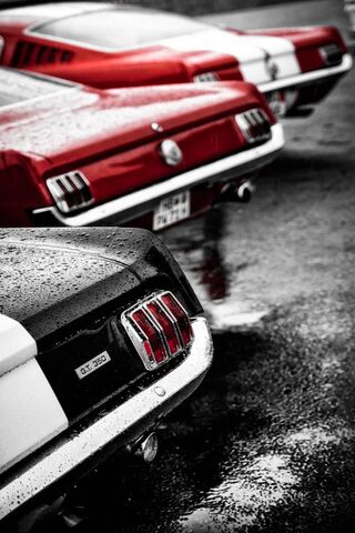 Fastbacks