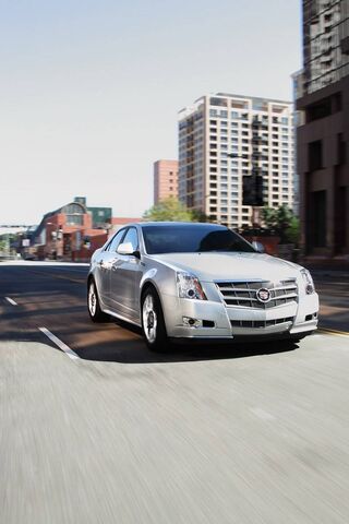Cruising in Style: The ..