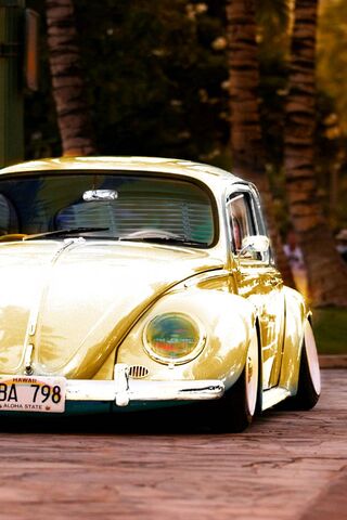 Golden Classic: The Araba Vovoss