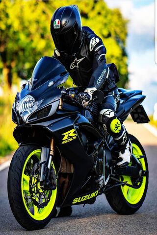 Rider's Roar: The Thril..