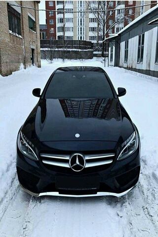 Elegance in the Snow: T..