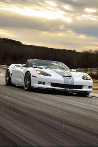 Corvette: The Icon of S..