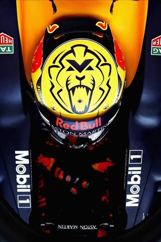 Roaring to Victory: Verstappen's 2017 Helmet