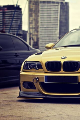 Golden Beast: The BMW S..